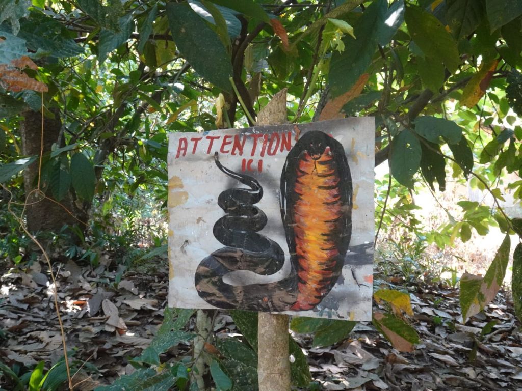 Près de N’Zérékoré